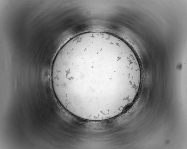 X0000103441481200810101054