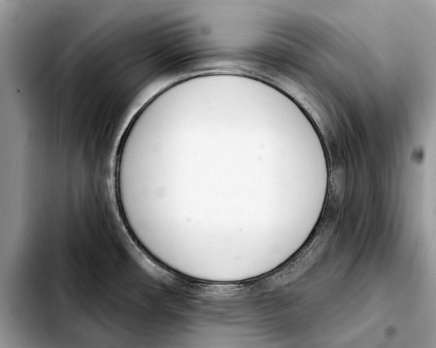 X0000103441482200810101054