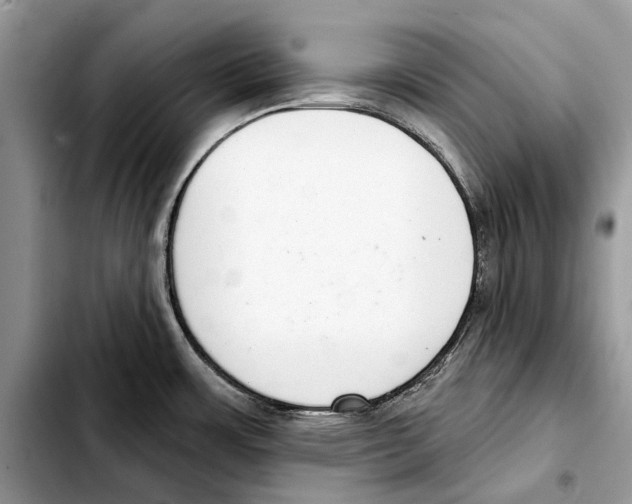 X0000103441483200810101054