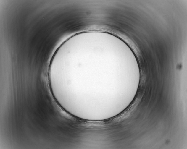X0000103441486200810101054
