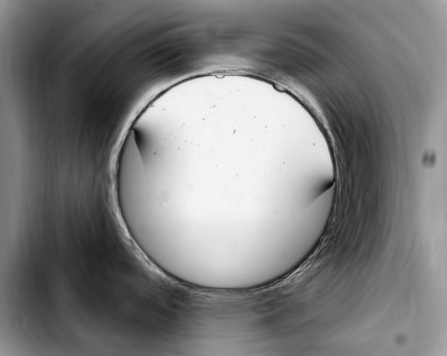 X0000103441488200810101053