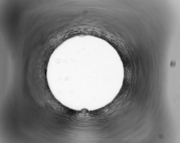 X0000103441489200810101053
