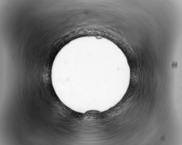 X0000103441490200810101053