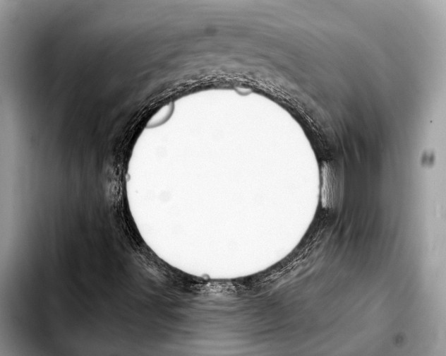 X0000103441491200810101053