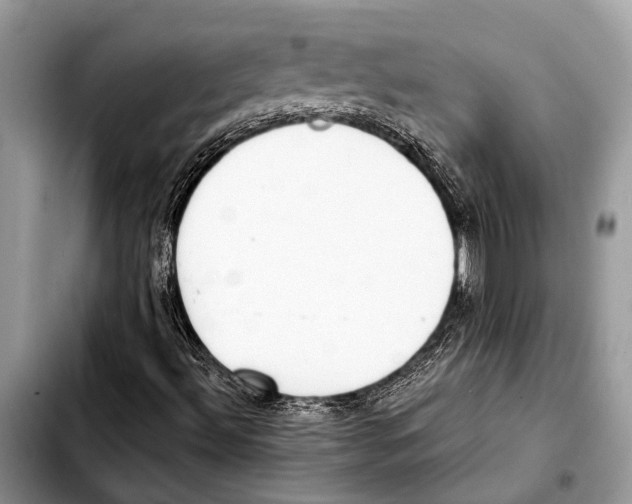 X0000103441492200810101053