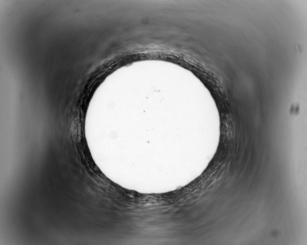 X0000103441493200810101053
