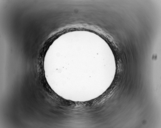 X0000103441494200810101053