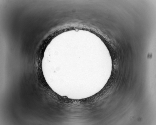 X0000103441495200810101053