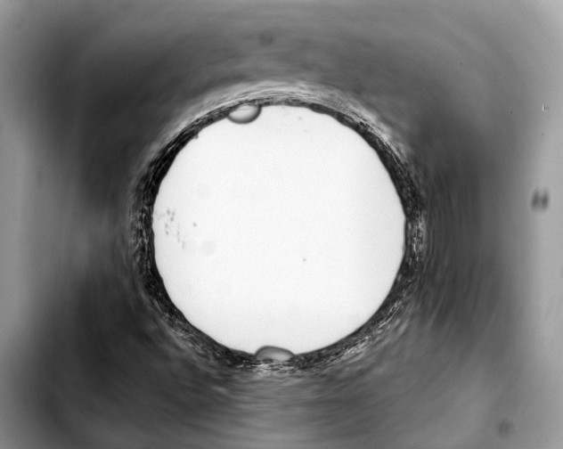 X0000103441496200810101053
