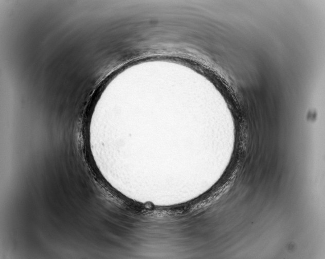 X0000103441497200810101053