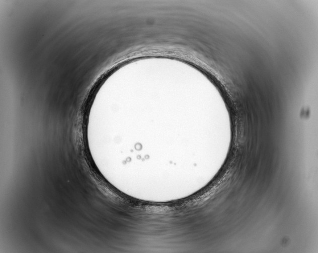 X0000103441498200810101053