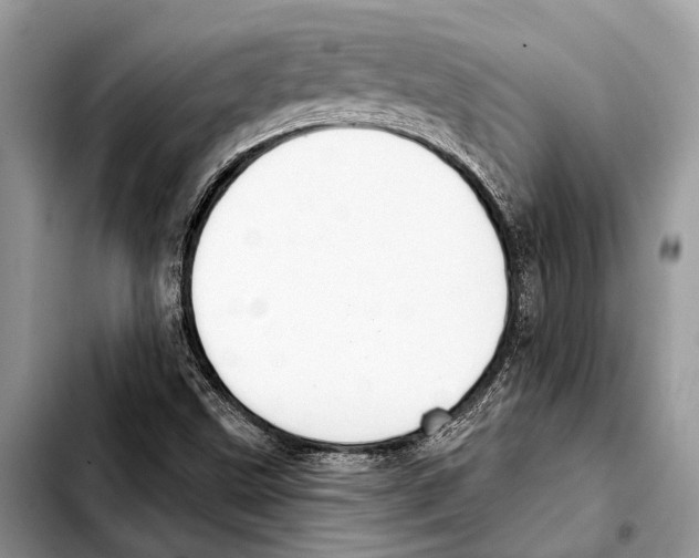 X0000103441499200810101053