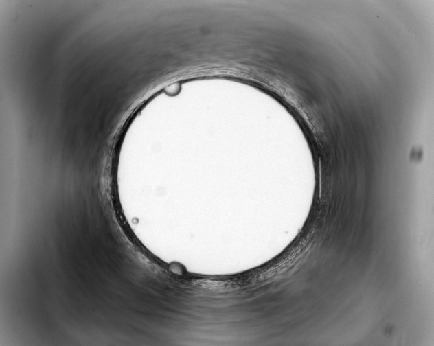 X0000103441500200810101053