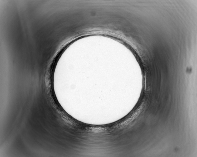 X0000103441501200810101053