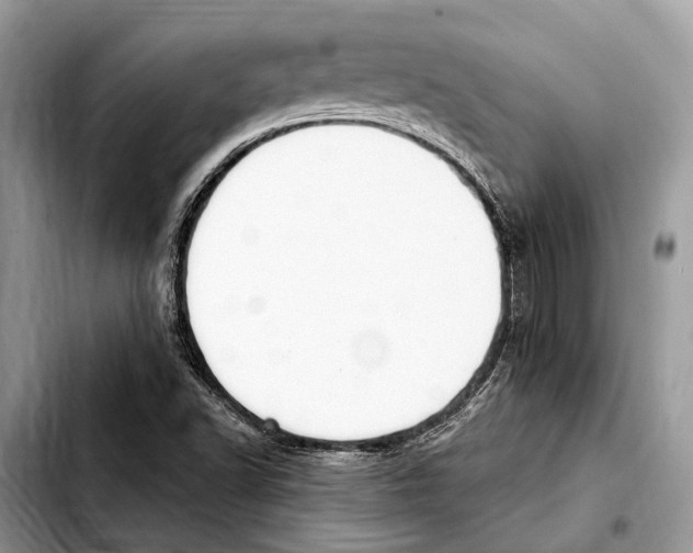 X0000103441502200810101053