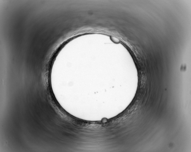 X0000103441503200810101053