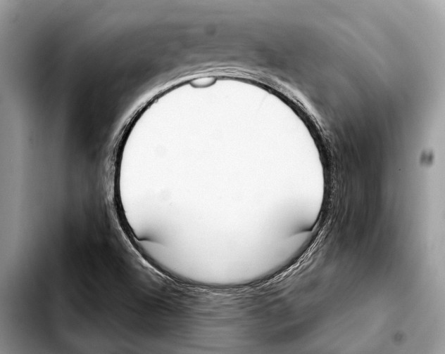 X0000103441504200810101053