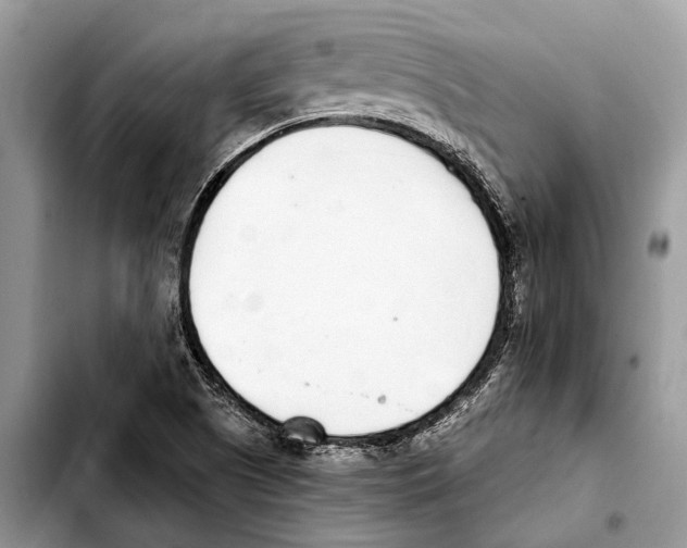 X0000103441505200810101053