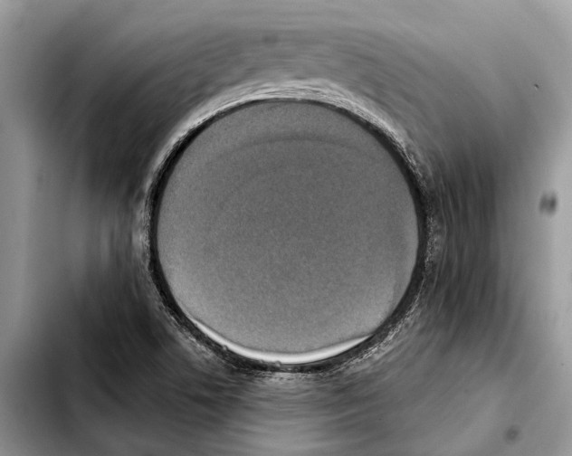 X0000103441506200810101053