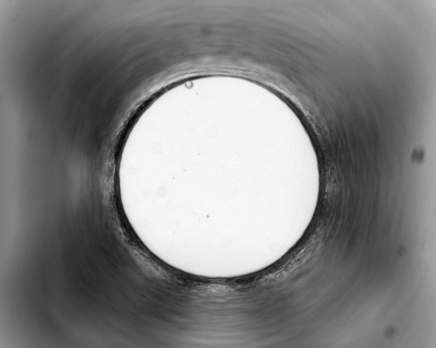 X0000103441507200810101053