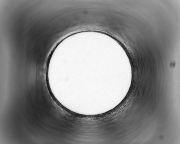 X0000103441508200810101053