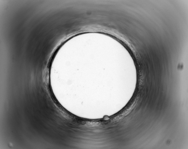 X0000103441509200810101053