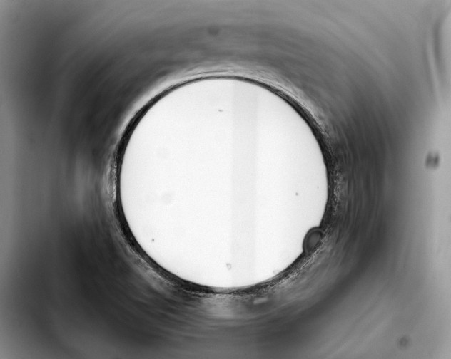 X0000103441510200810101053
