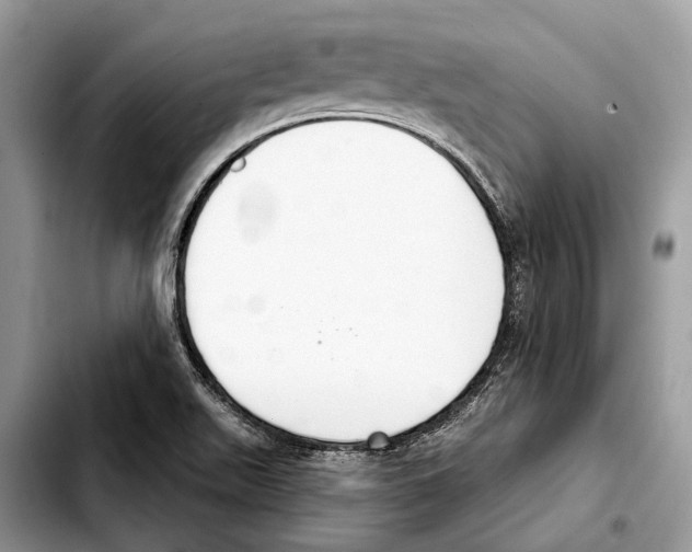 X0000103441511200810101053
