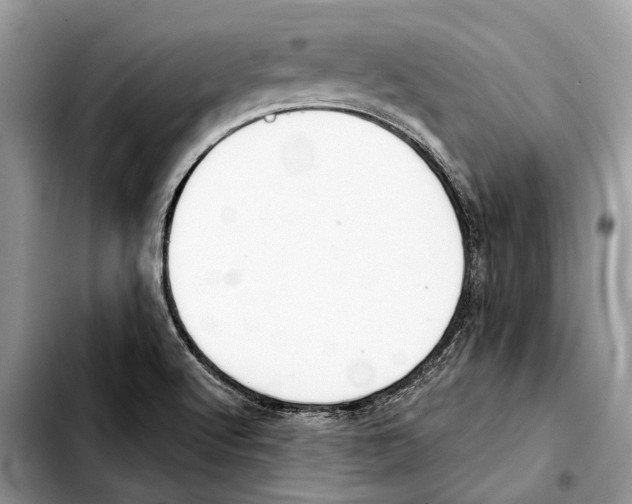 X0000103441512200810101053