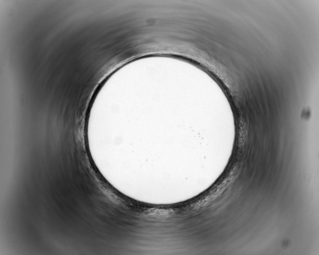 X0000103441513200810101053