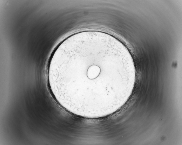X0000103441514200810101053