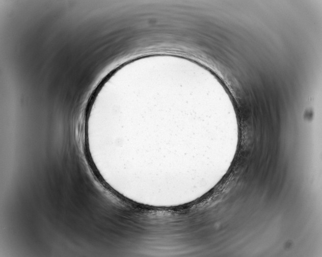 X0000103441515200810101053