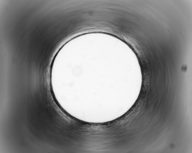 X0000103441516200810101053