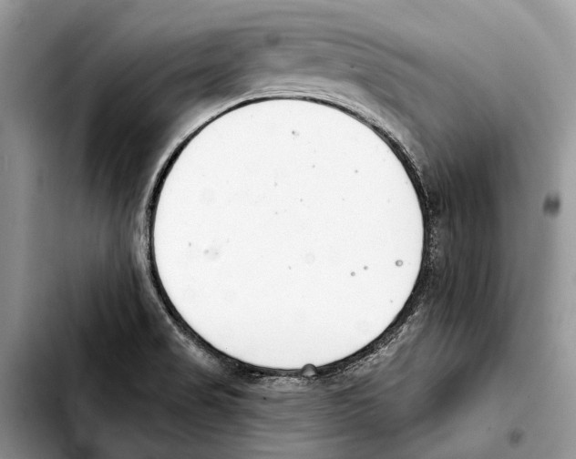 X0000103441517200810101053