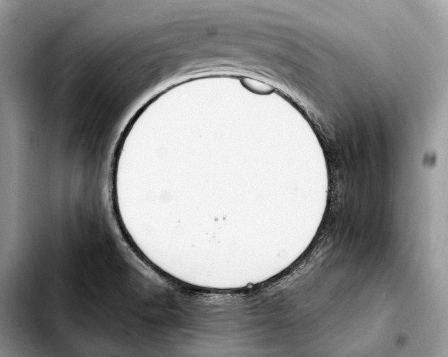 X0000103441518200810101053