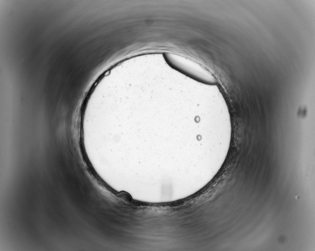 X0000103441519200810101053