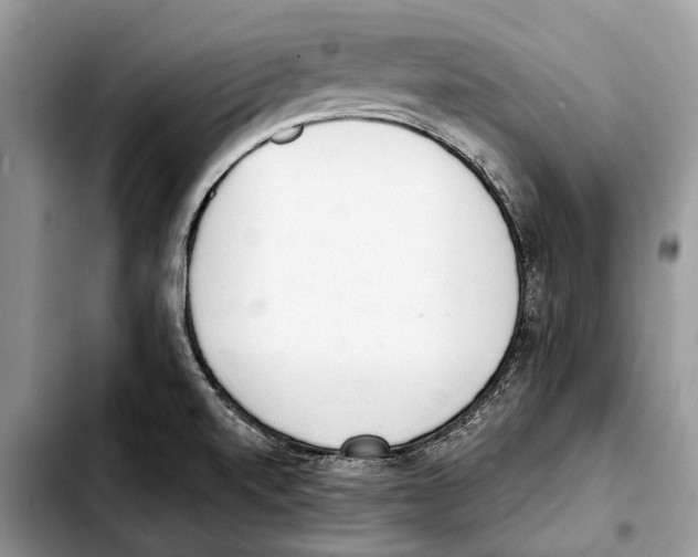 X0000103441520200810101053