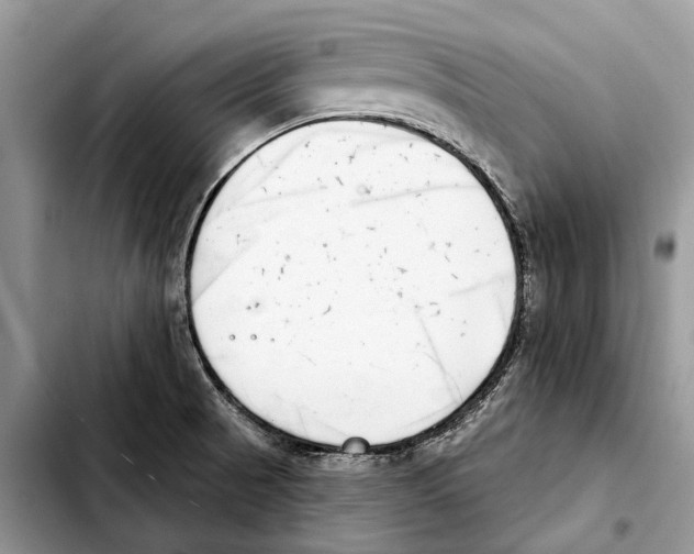 X0000103441521200810101053