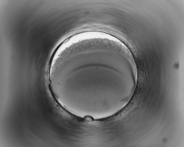 X0000103441522200810101053