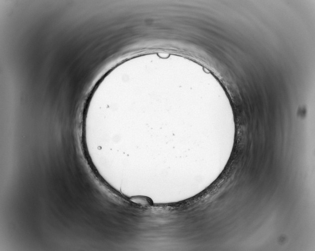 X0000103441523200810101053