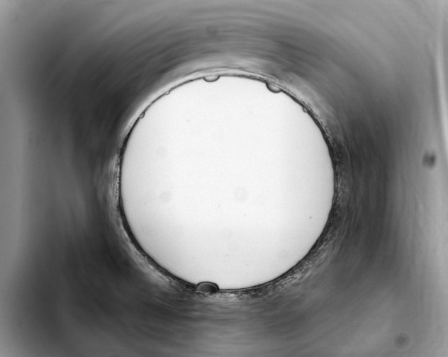 X0000103441524200810101053