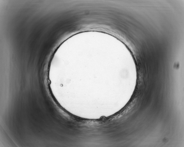 X0000103441525200810101053