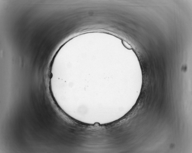 X0000103441526200810101053