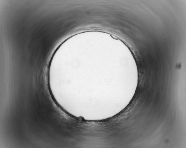X0000103441527200810101053