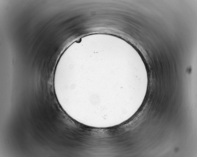 X0000103441529200810101053