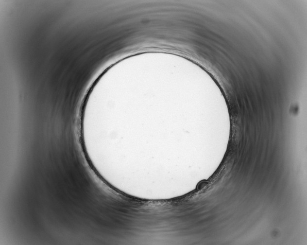 X0000103441531200810101053