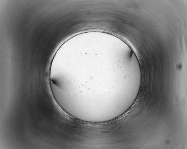 X0000103441532200810101053