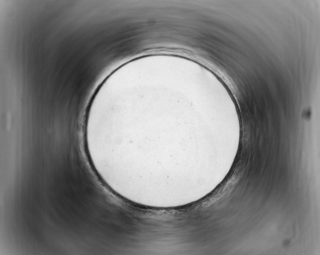 X0000103441533200810101053