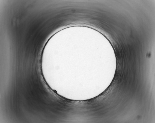 X0000103441534200810101053