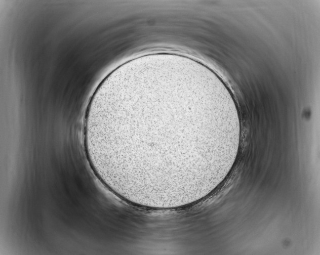X0000103441535200810101053